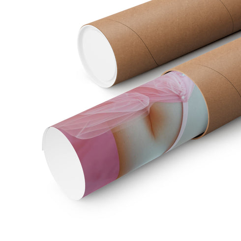 Ballet Beauty in Blush Art Print