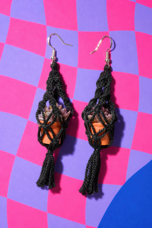 A pair of black earrings with a potted succulent plant hanging from the bottom, set against a vibrant background of pink and purple squares.