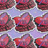 Feminist sticker sheet measuring 9.8x14 inches featuring 6 kiss-cut vinyl stickers with matte finish. Includes designs: “Consent or Coffin” (4.1x4), “Girls Just Wanna Have Fundamental Rights” (3.5x4.1), “Hex the System” (3.6x3.7), “Romanticize Your Rage” (3.7x3.3), “Tell Me to Smile and I’ll Scream” (3.6x3.6), and “Soft But Not Sorry” (~3.3"). Weather-resistant, semi-permanent adhesive, ideal for laptops, water bottles, and journals.