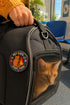 Activist Cat Protest Pinback Button