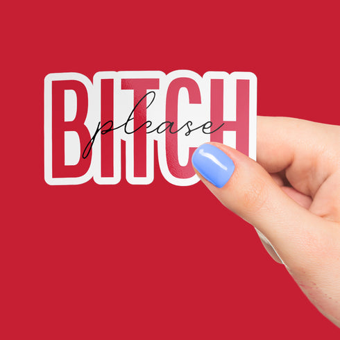 Pink "Bitch Please" Premium Vinyl Sticker, Typography Quote, Glossy Sticker