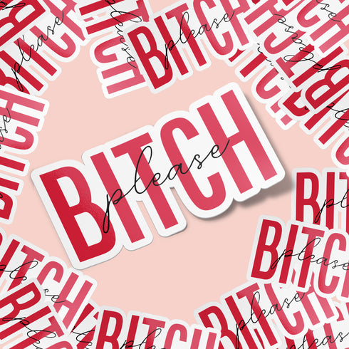Pink "Bitch Please" Premium Vinyl Sticker, Typography Quote, Glossy Sticker
