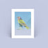 Giclee Bird Art Print - Blue