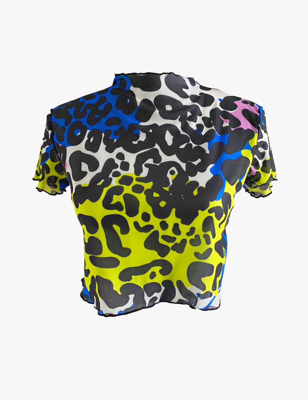 Color Block Leopard Print Mesh Crop Top